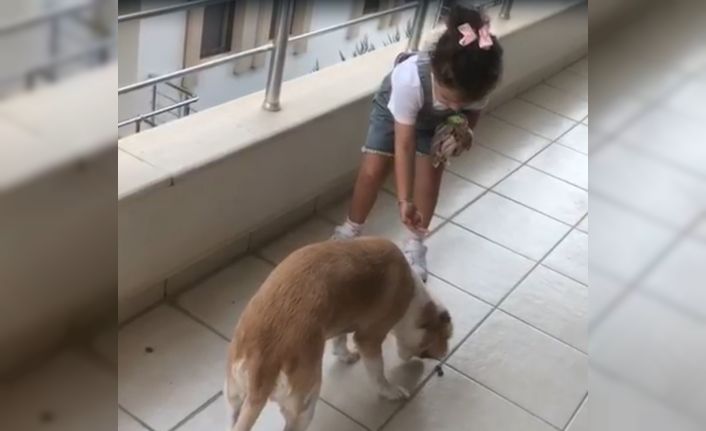 Minik Gökçe’den örnek davranış