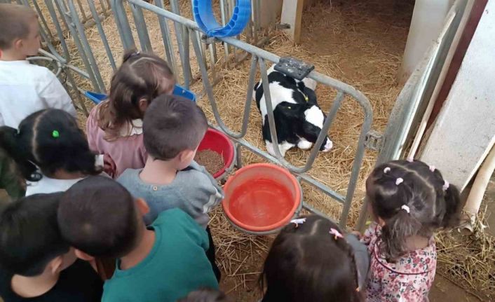 Minik öğrenciler tarımla buluştu