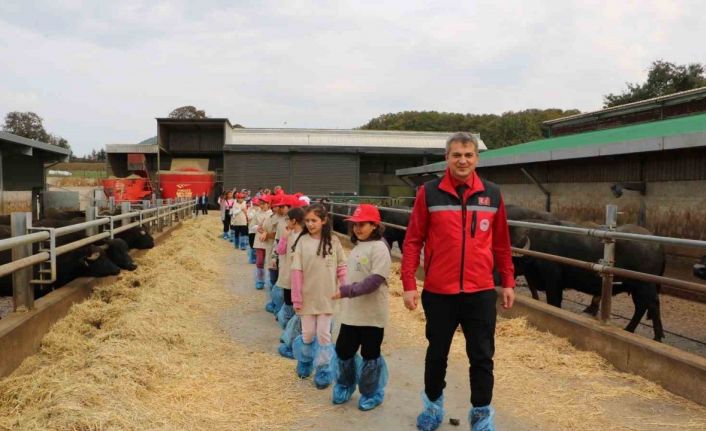 Minikler tarımı yerinde öğrendi