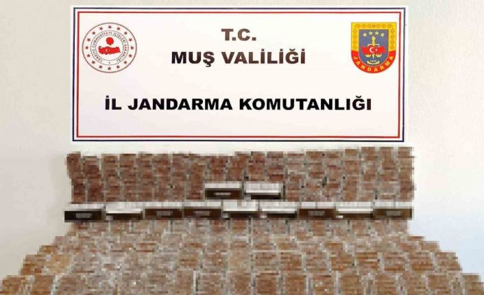 Muş’ta 40 bine yakın dolu makaron ele geçirildi