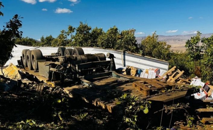 Muş’ta freni boşalan tır kaza yaptı: 1 yaralı