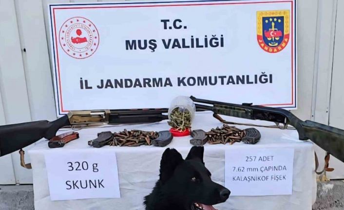Muş’ta jandarmadan uyuşturucu ve silah operasyonu