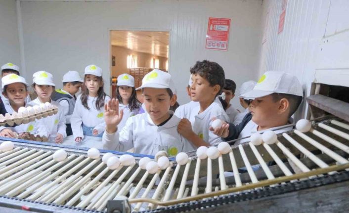 Muş’ta "kooperatifçilik" temalı tarım kampı düzenlendi