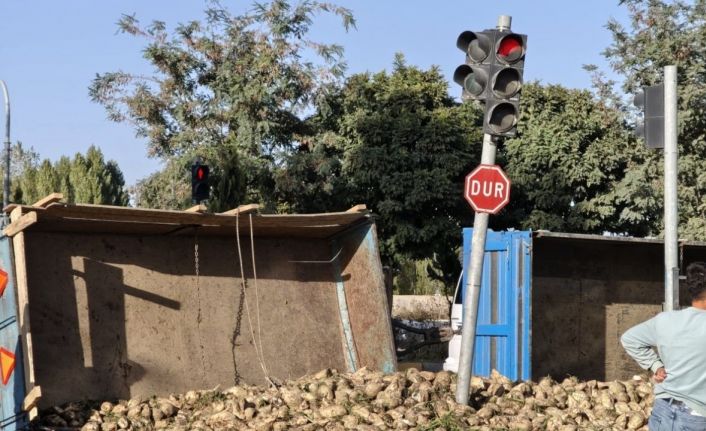 Muş’ta şeker pancarı yüklü traktör devrildi