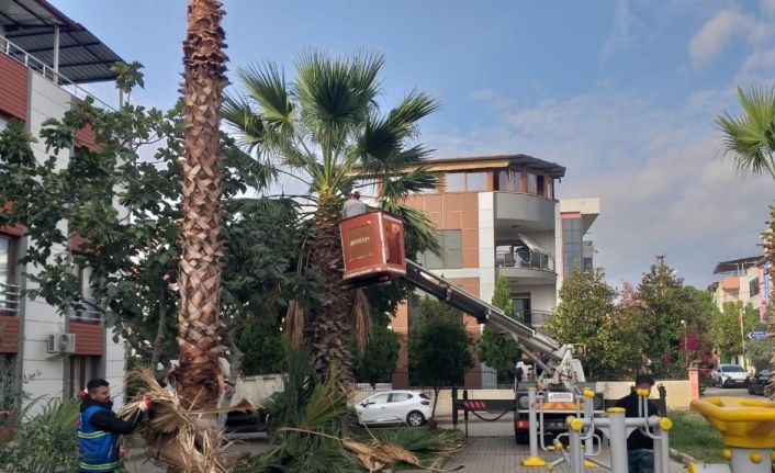 Nazilli Belediyesi’nden 12 mahallede eş zamanlı çalışma