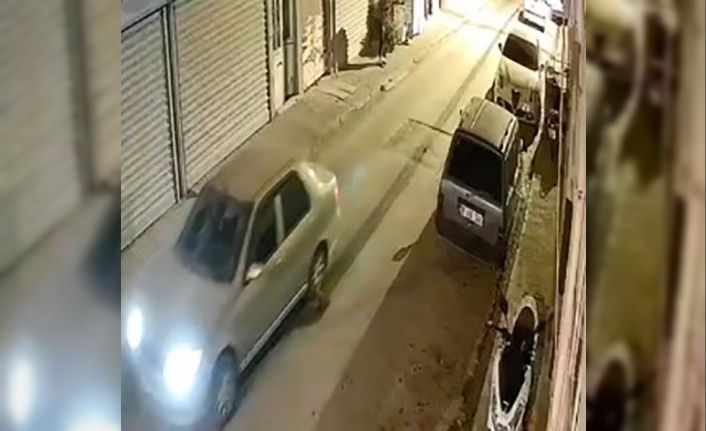 Nesli tehlike altındaki hayvanı aracıyla metrelerce sürükledi