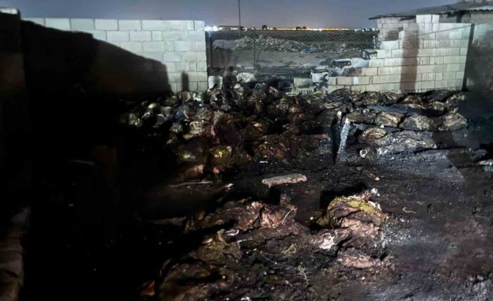 Niğde’de ahır yangını: 170 koyun telef oldu