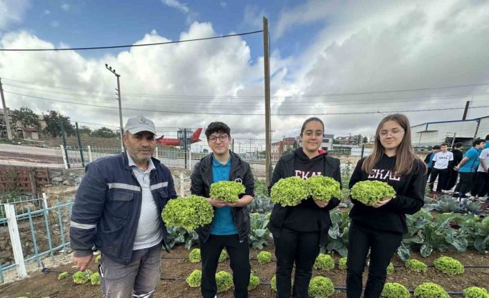 Öğrenciler, "Bahçem Çayırova"da ilk hasadı yaptı