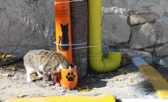 Öğrenciler hem çevre bilincini hem hayvan sevgisini bir araya getirdi