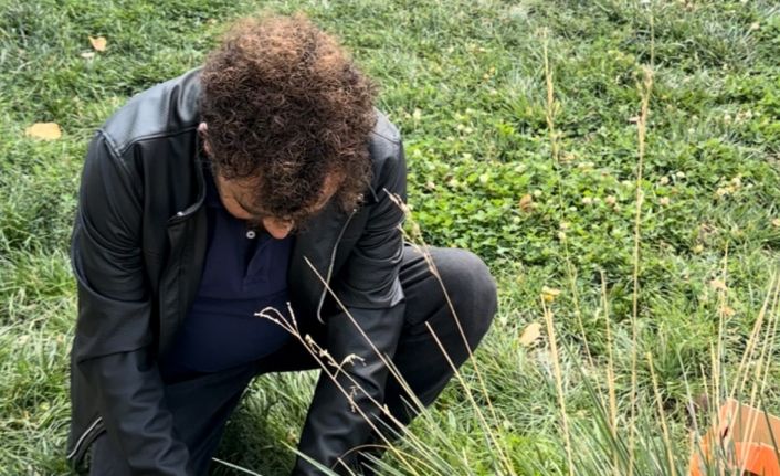 Öğretmenin fark ettiği yaralı güvercin kurtarıldı