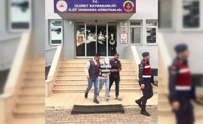 Ordu’da evden fındık çalan şüpheli tutuklandı