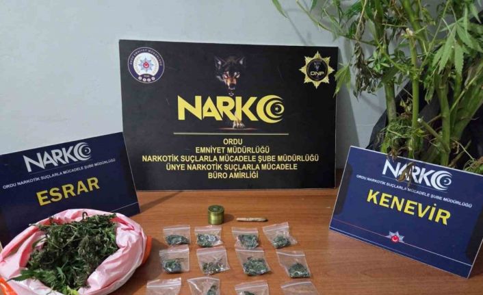 Ordu’da uyuşturucu operasyonlarında 2 tutuklama