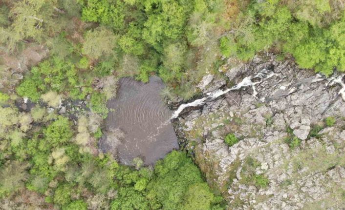Ormanın içerisindeki şelale görenleri mest ediyor