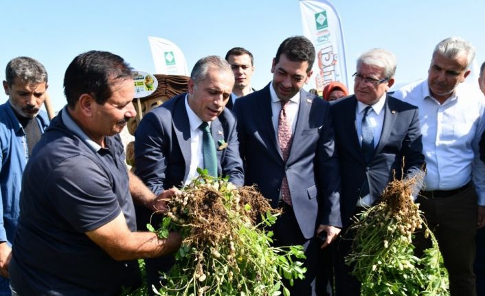 Osmaniye Fıstık Festivali’ne hazırlanıyor