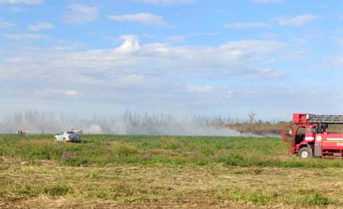 Otluk alanda çıkan yangın söndürüldü