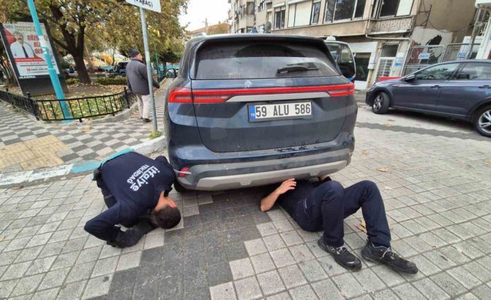 Otomobile giren kedi hava üflenerek kurtarıldı