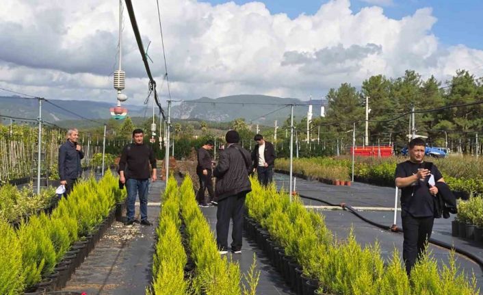 Özbek ormancılar Muğla’da incelemelerde bulundu
