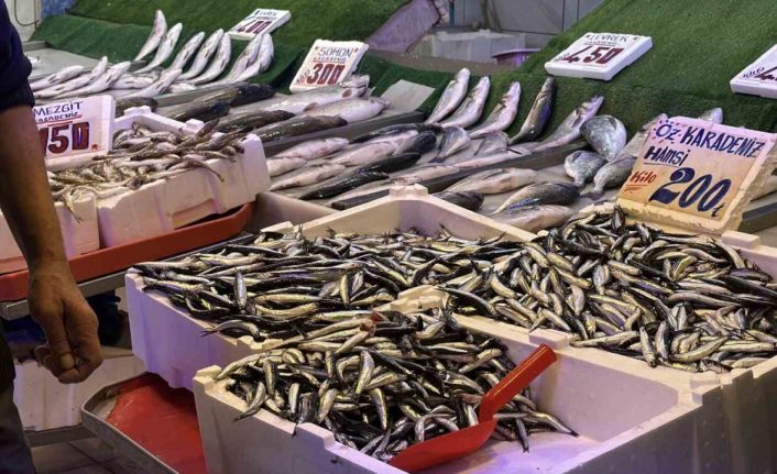 Palamudun yokluğunu Karadeniz’in vazgeçilmezi hamsi tamamlıyor