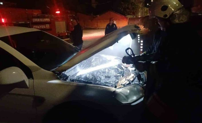 Park halindeki cipi küle dönmekten itfaiye kurtardı