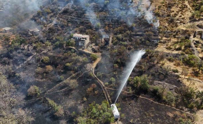 Patlıcan közlerken ormanı yakan şahıs yakalandı: 1 gözaltı