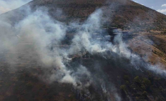 Patlıcan közlerken ormanı yaktılar