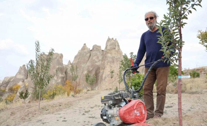 Peribacalarını ağaçlarla güzelleştiriyorlar