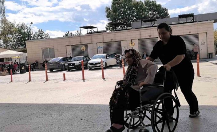 Piknik yaparken yılan ısırdı, hastaneye kaldırıldı