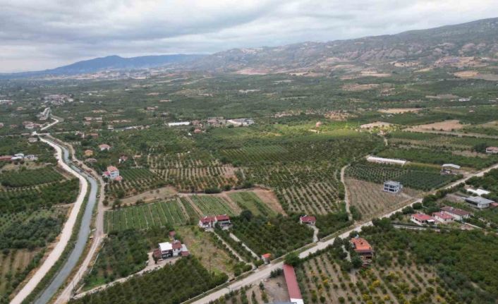 Prof. Dr. Gerçekcioğlu: "Meyvecilikte çiçeklenme kimyasallarla ertelenemez"