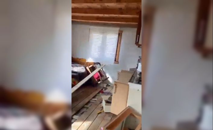 Rize yaylalarında ayı paniği: 20 ev talan edildi