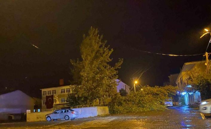 Rüzgarın kökünden söktüğü ağaç otomobilin üzerine devrildi
