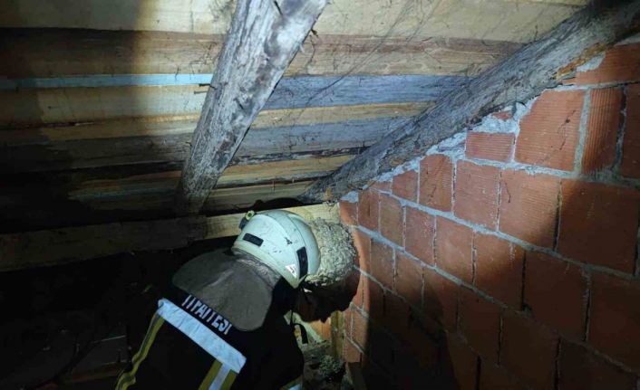 Safranbolu’da evin çatısında yaban arısı paniği