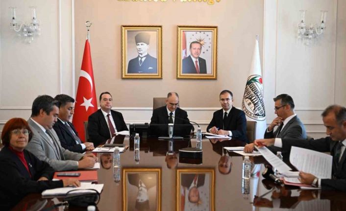 Sahipsiz hayvanlara yönelik tedbirler masaya yatırıldı