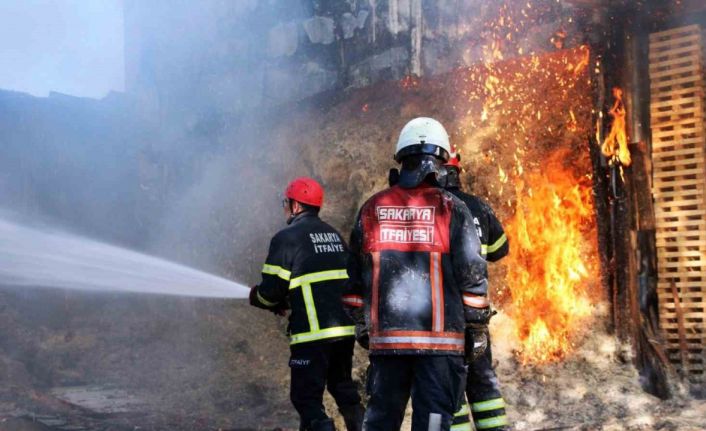 Sakarya’da ahşap atölyesinde korkutan yangın