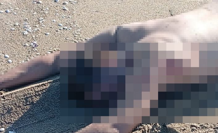 Sakarya’da sahilde çıplak erkek cesedi bulundu
