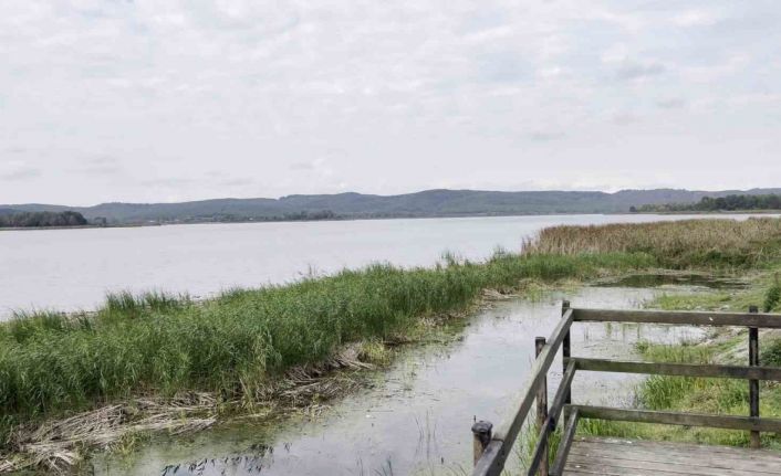 Sakarya’nın alüvyon set gölü can çekişiyor: Su seviyesi 8 metreden 2 metreye düştü