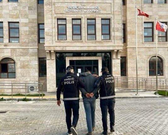 Saksıda kenevir yetiştiren 2 şüpheliye adli işlem