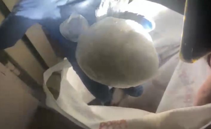 Samsun’da 183,8 gram uyuşturucu ele geçirildi