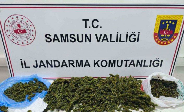 Samsun’da jandarmadan uyuşturucu operasyonu: 1 gözaltı