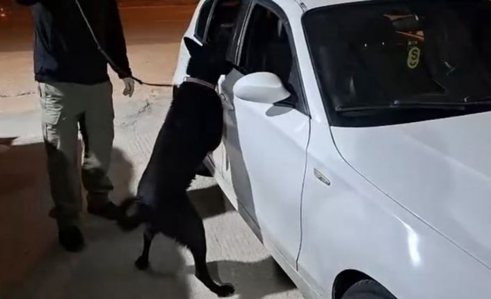Samsun’da narkotik köpeği Çakır, yakıt deposuna gizlenen metamfetamini buldu