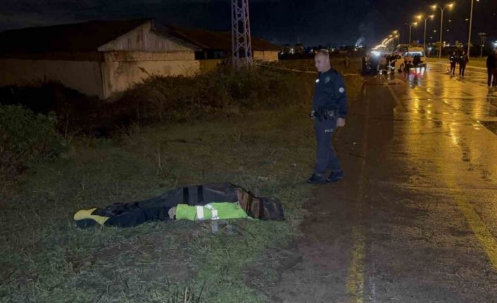 Samsun’da otomobilin çarptığı çoban hayatını kaybetti
