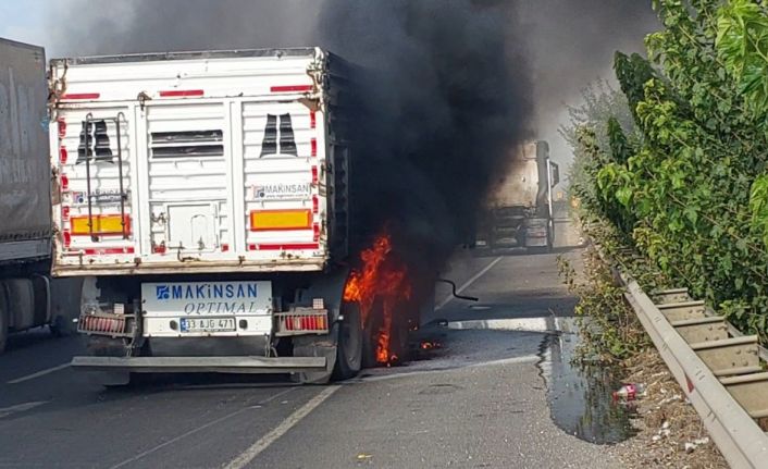 Şanlıurfa’da seyir halindeki tır alev aldı