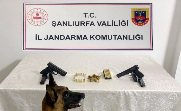 Şanlıurfa’da silah kaçakçılığı operasyonu: 8 gözaltı