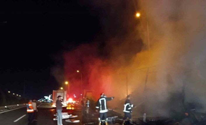 Şanlıurfa’da TV yüklü tır alev topuna döndü