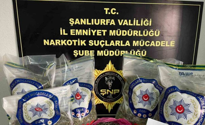 Şanlıurfa’da uyuşturucu operasyonu: 2 gözaltı