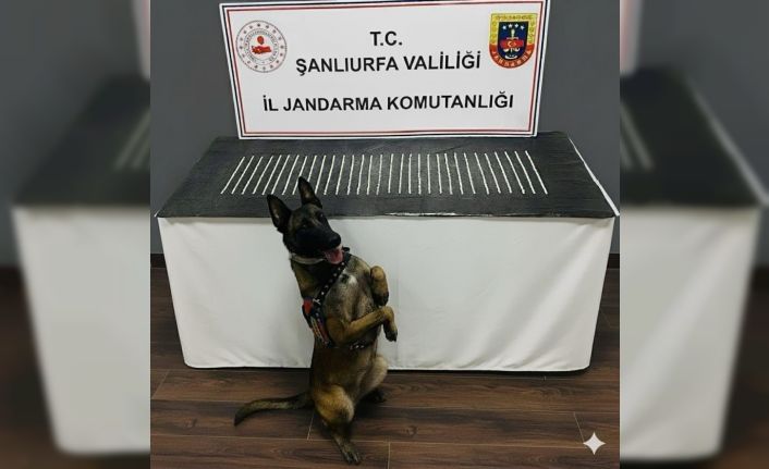 Şanlıurfa’da uyuşturucu operasyonu: 3 gözaltı