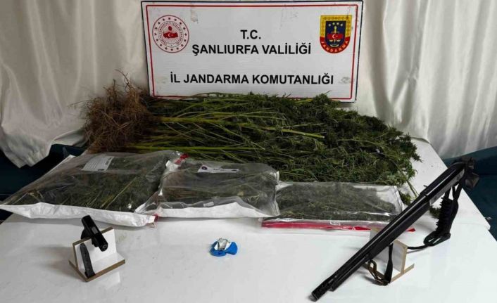 Şanlıurfa’da uyuşturucu operasyonunda 1 gözaltı