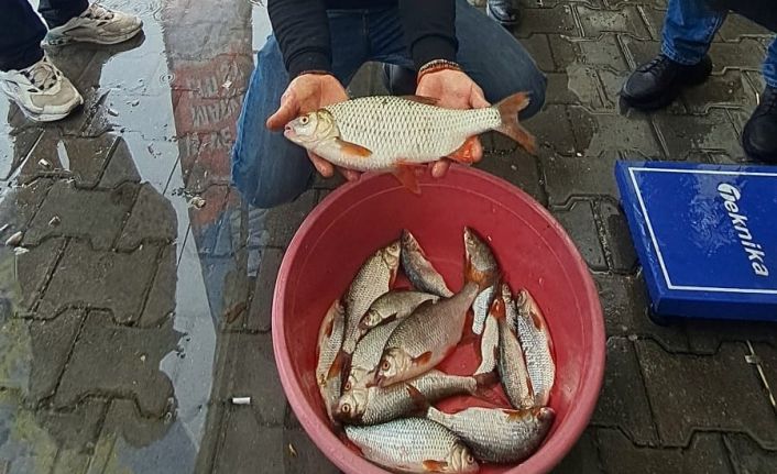 Sapanca Gölü’nde kızılkanat heyecanı: Amatör balıkçılar kıyasıya yarıştı