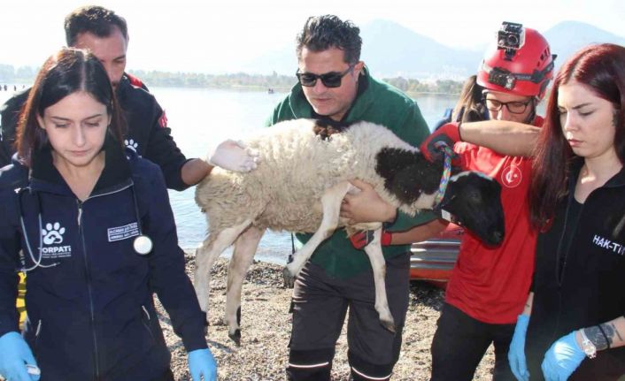 Sel felaketi riski taşıyan İzmir’de AFAD’dan tatbikat