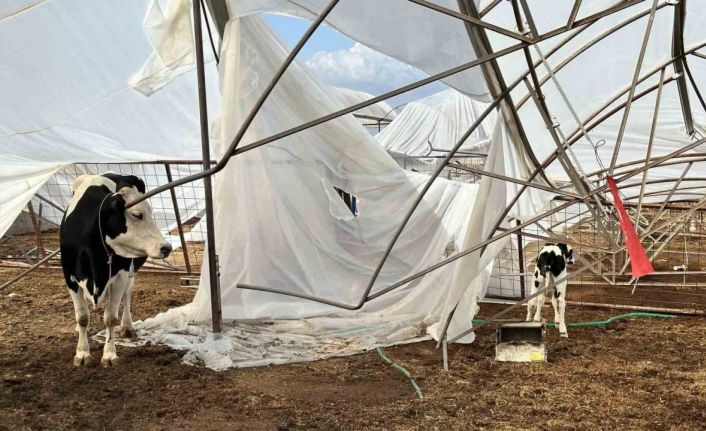 Serik’te hasar tespit çalışmaları sürüyor