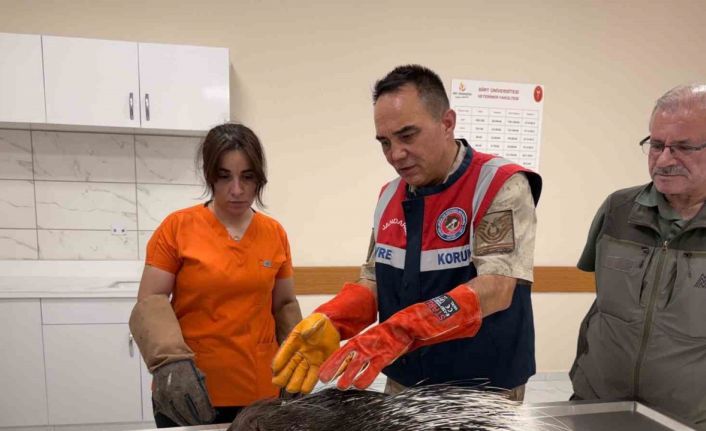 Siirt jandarmasından doğa dostu çalışmalar